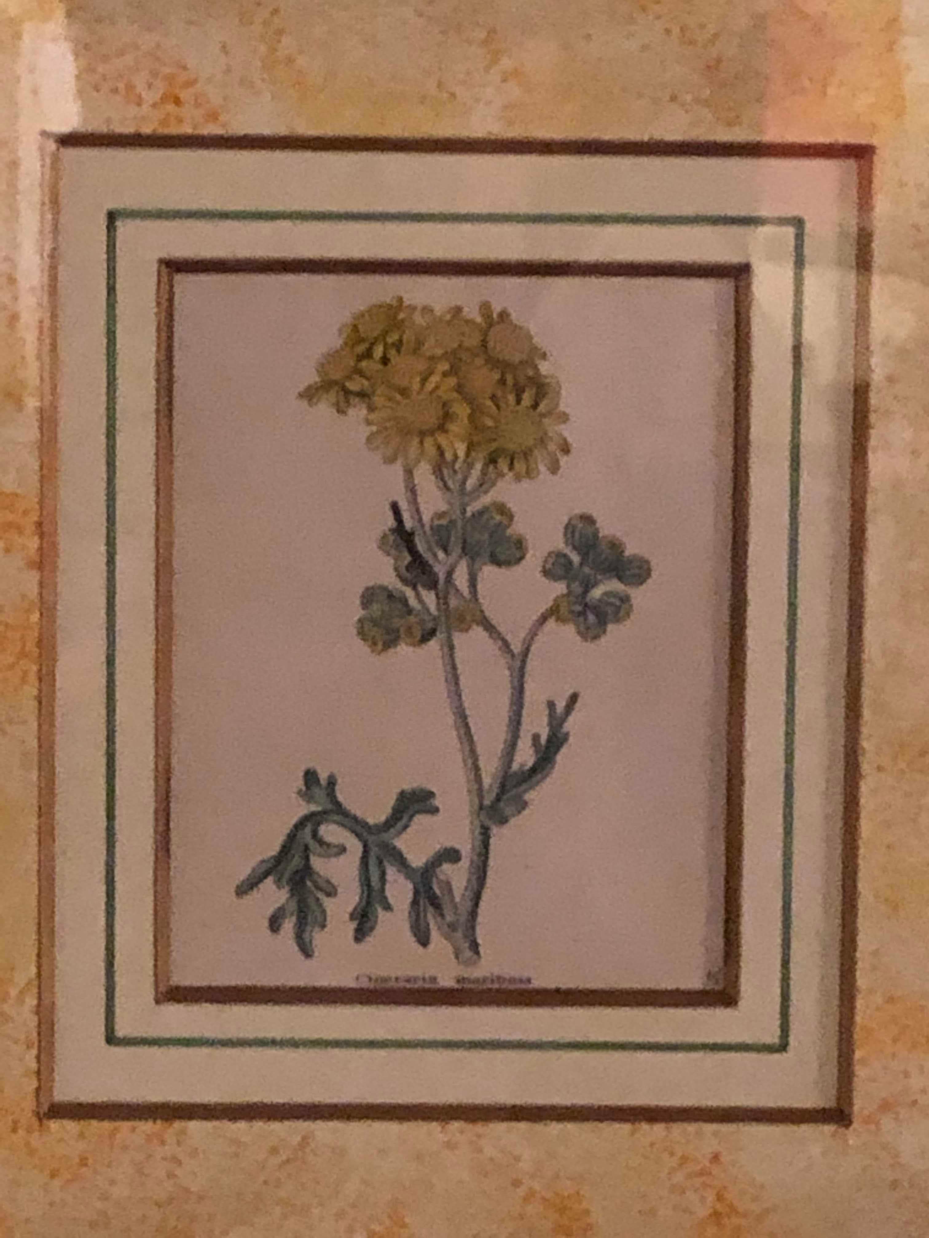 Ten Copperplate Engravings in Gilt Frames by Benjamin Maund, Judy Cormier Framed For Sale 3