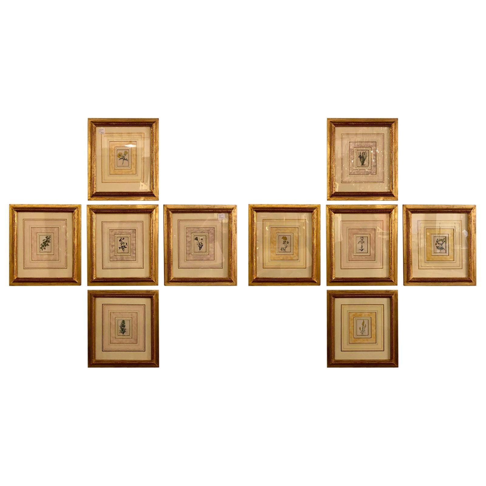 Dieci incisioni su rame in cornici dorate di Benjamin Maund, Judy Cormier in cornice