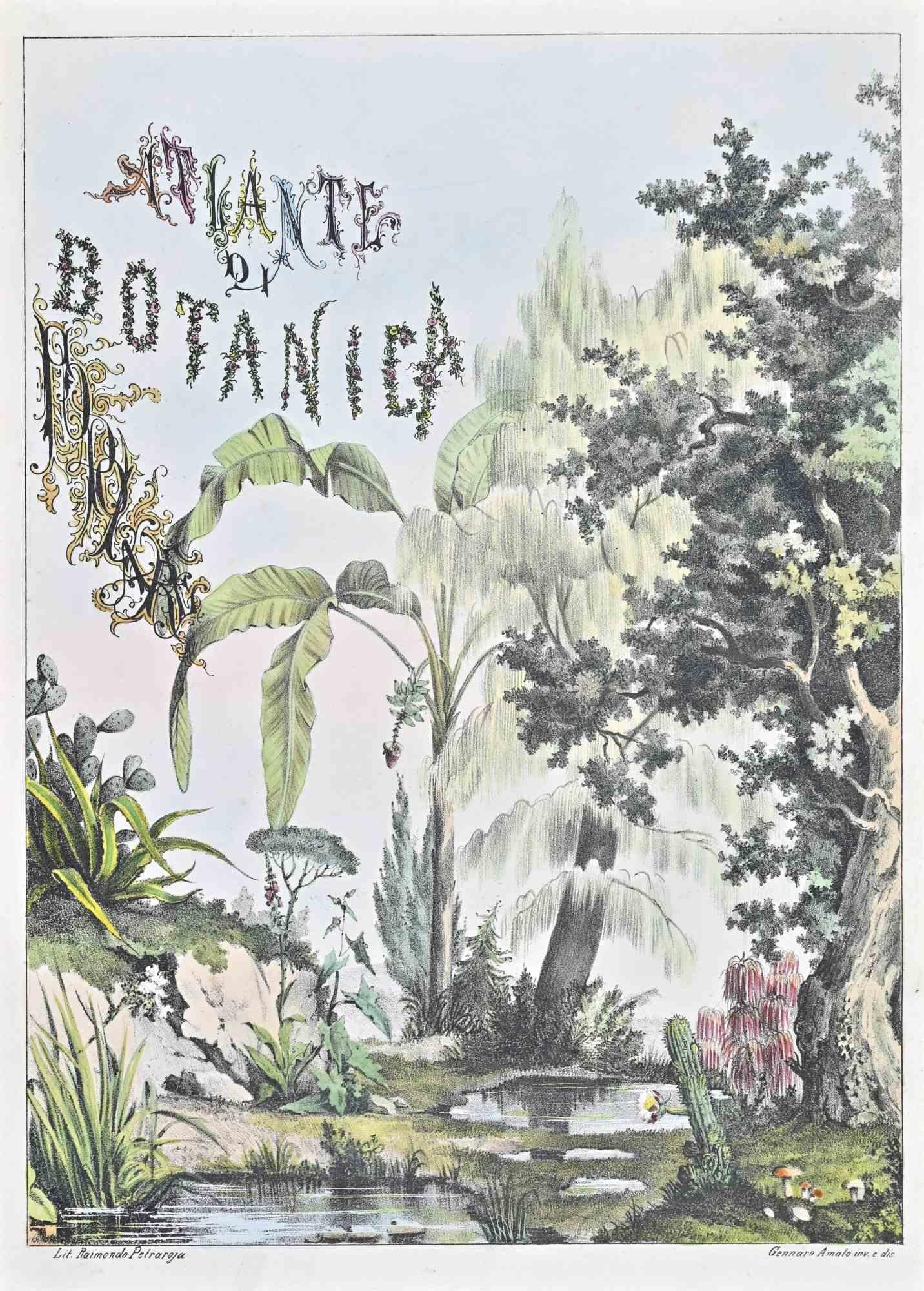 Unknown Figurative Print - The Atlas of Botany - Frontispiece  - Lithograph by Vincenzo Tenore - 1870s