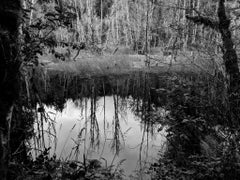 Der Bibersee, Archivalischer Pigmentdruck von Joseph Rossano, 2019