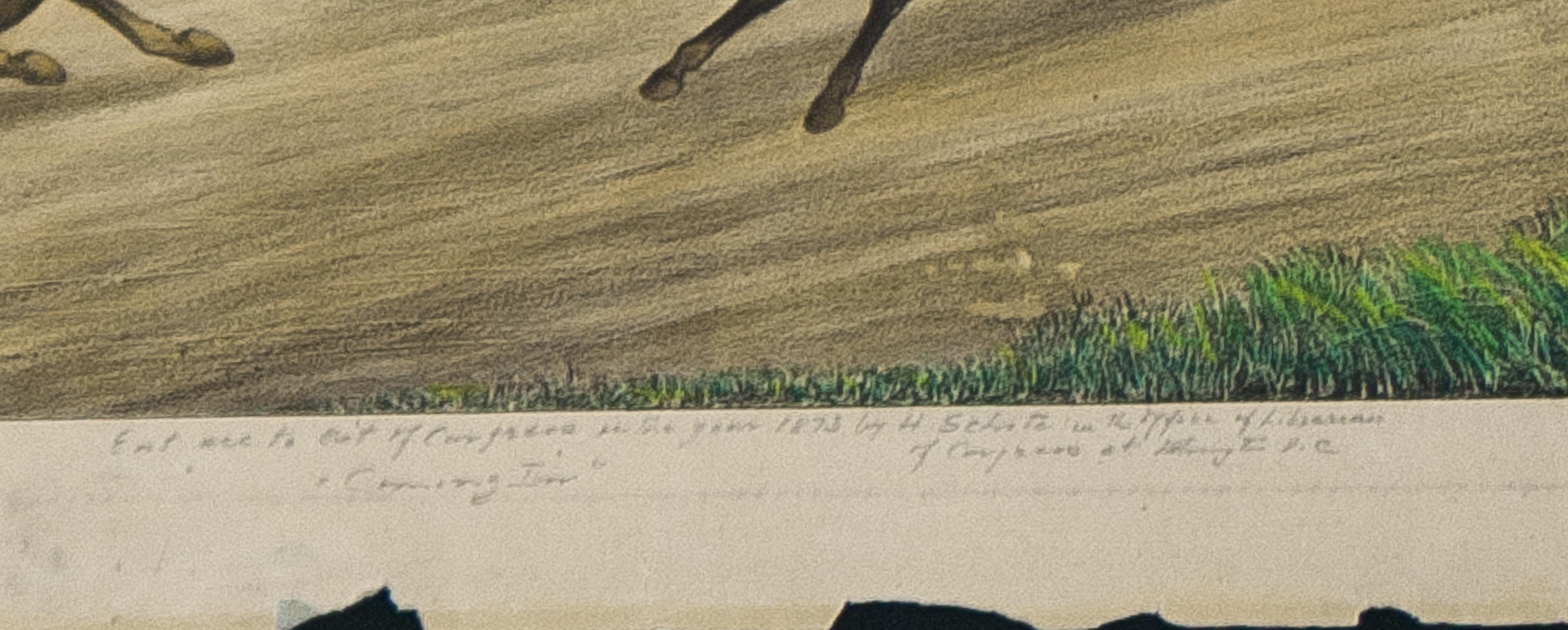The First Meeting, Jerome Park, N. Y. , H. Schile 1873 Rare Proof before letters - Brown Figurative Print by Unknown