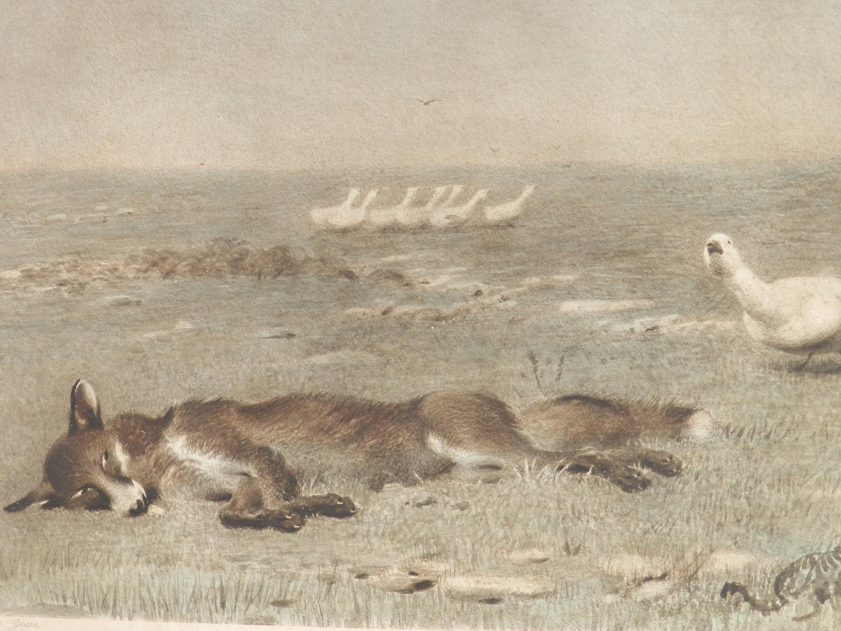 The Fox and the Geese by Briton Riviere 1868 Lithograph c1918 - Realist Print by Unknown