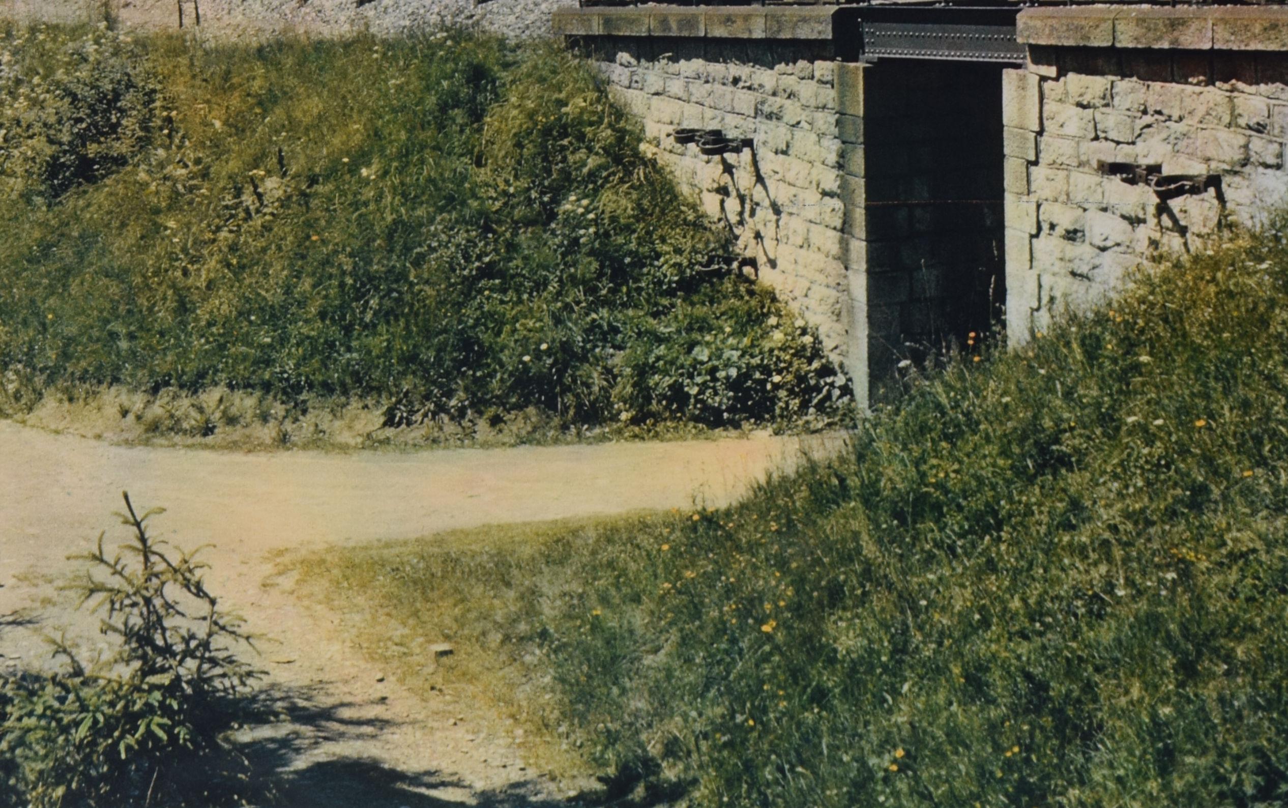 Los Alpes franceses - Para ver Francia, ve en tren cartel de viaje original de época en venta 2