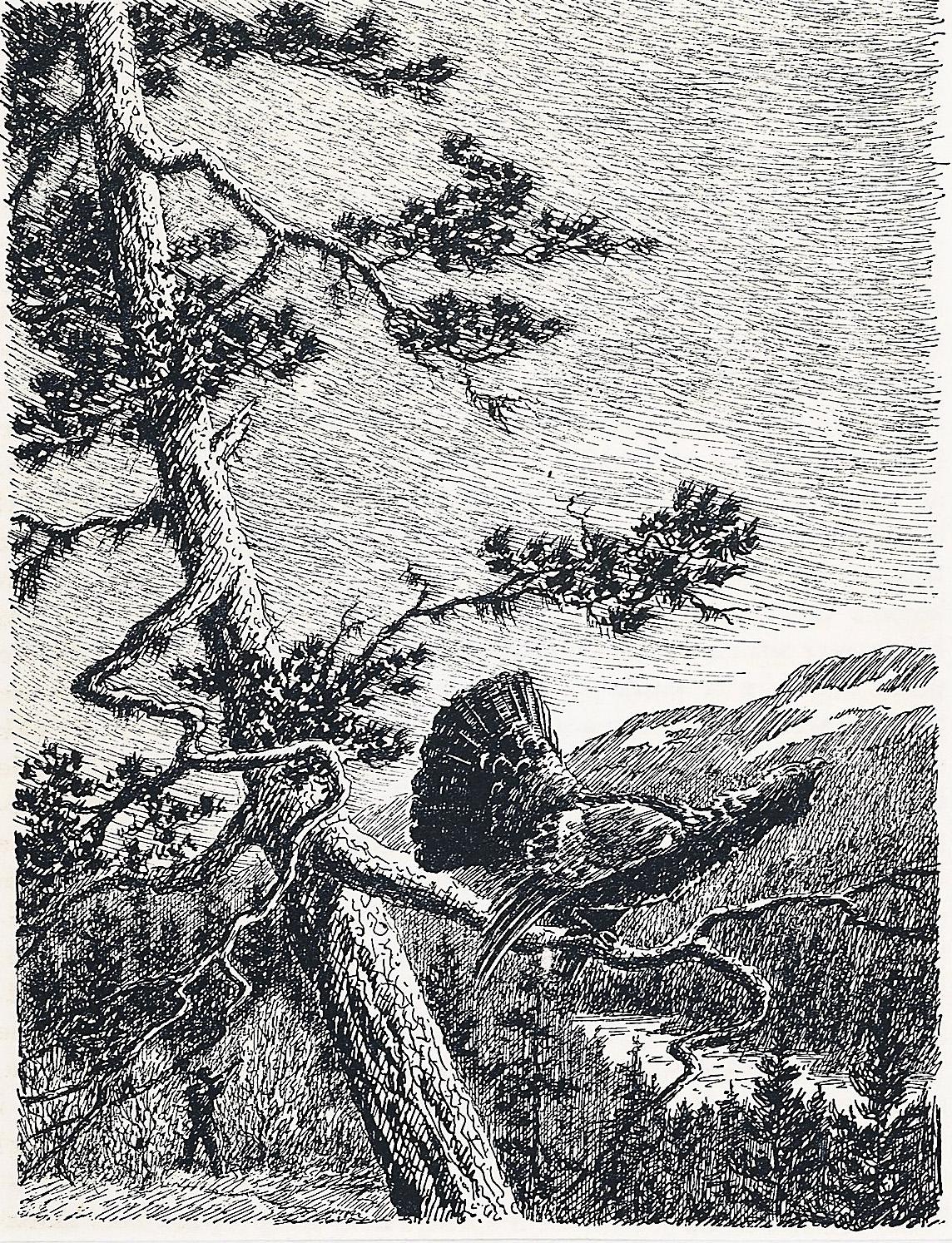 A pair of lithographs, one showing a lone fisherman casting his line in a perfect spot near a waterfall, and the other showing a wild turkey in a tree in a Scandinavian forest. Matted with acid-free, 1 3/4 inch coarse weave black linen mat. Framed