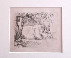 Il maiale - Litografia originale su carta - 1880 ca.