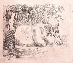 Le porc - Lithographie originale sur papier - 1880 environ.