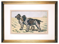 The Pont-Audemer Spaniel