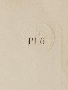 Thebes. Medynet-Abou / Coupes Transversales de la Cour et du Peristyle du Palais