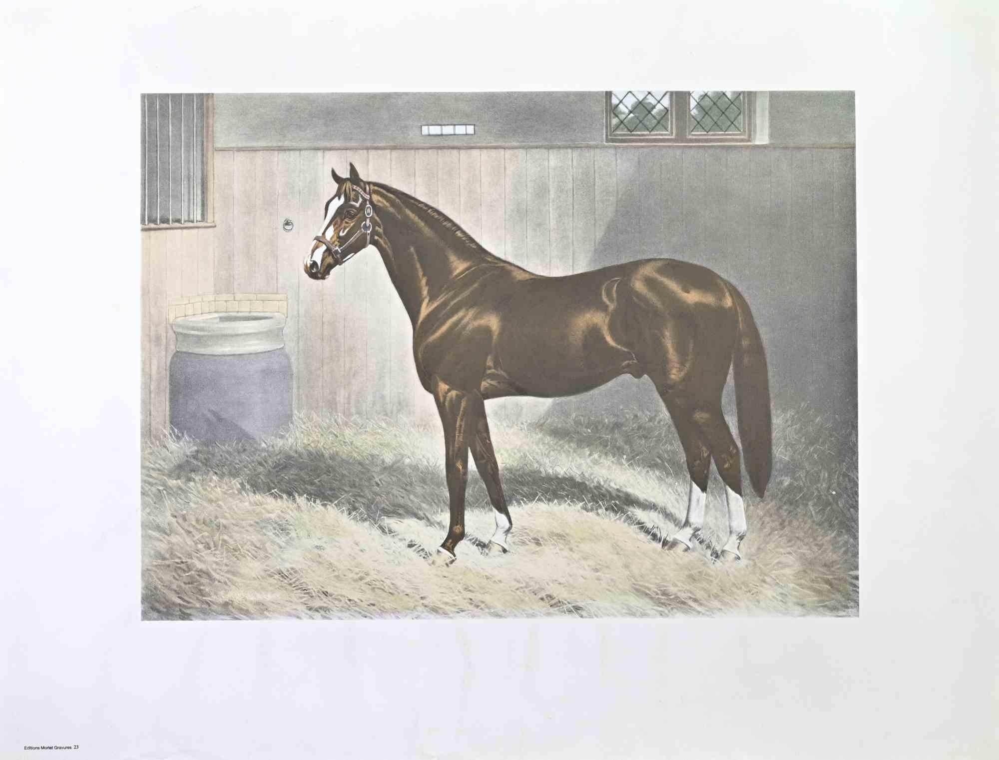 Unknown Figurative Print - Thoroughbred in a Stable - Lithograph - Mid-20th Century
