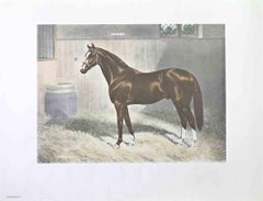 Pur-sang dans une écurie - Lithographie - Milieu du 20e siècle