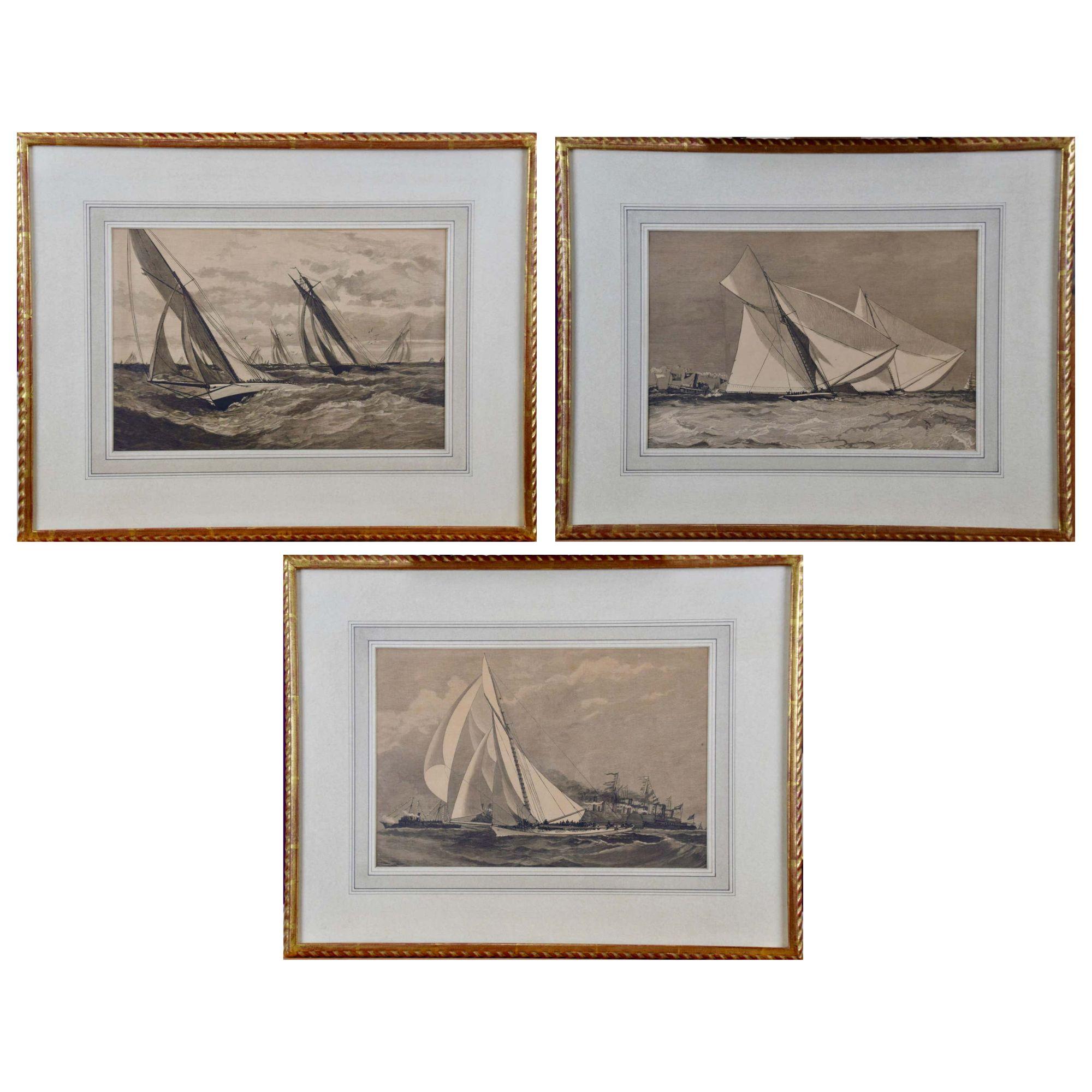Unknown Print – Drei Gravuren mit Darstellungen von Segeljachten, die 1885 auf den America's Cup Trials konkurrieren.