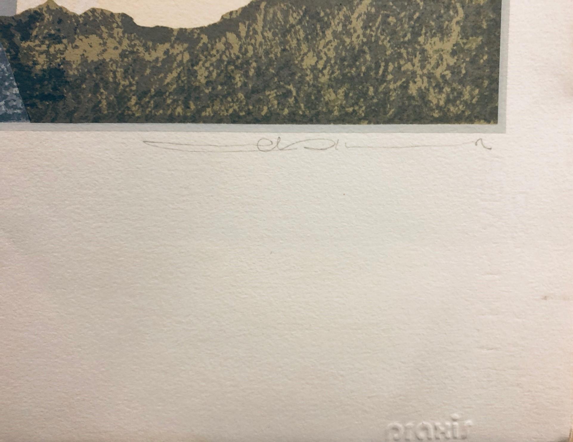Édition limitée (117/185). Signé par l'artiste (signature illisible). Mesure 26 x 19,75 pouces et n'est pas encadrée. La pièce est en bon/faible état - froissements/rayures/décolorations dus à l'âge et aux manipulations. 