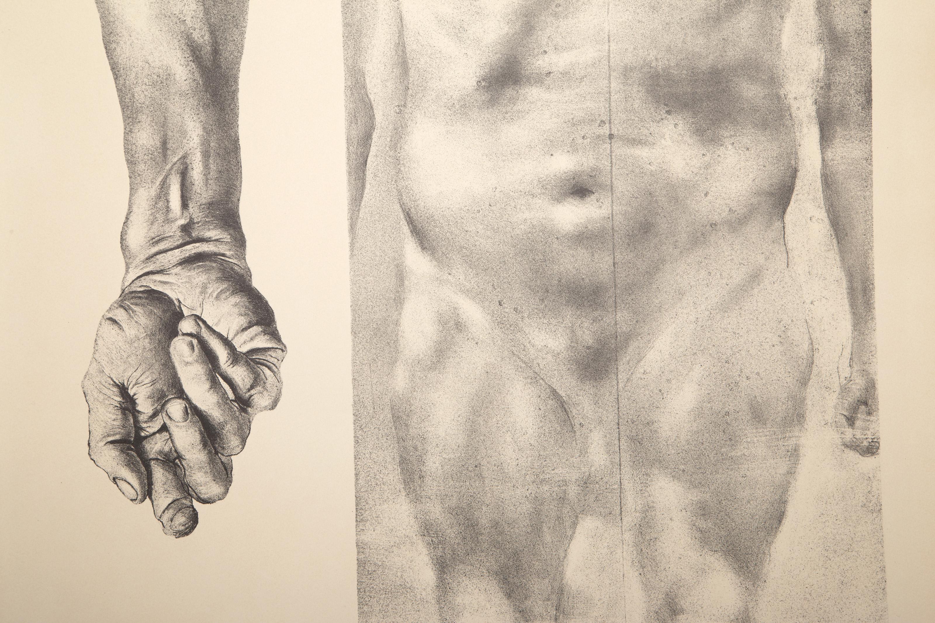 Torso y brazo, litografía surrealista de Donald DeMauro en venta 1