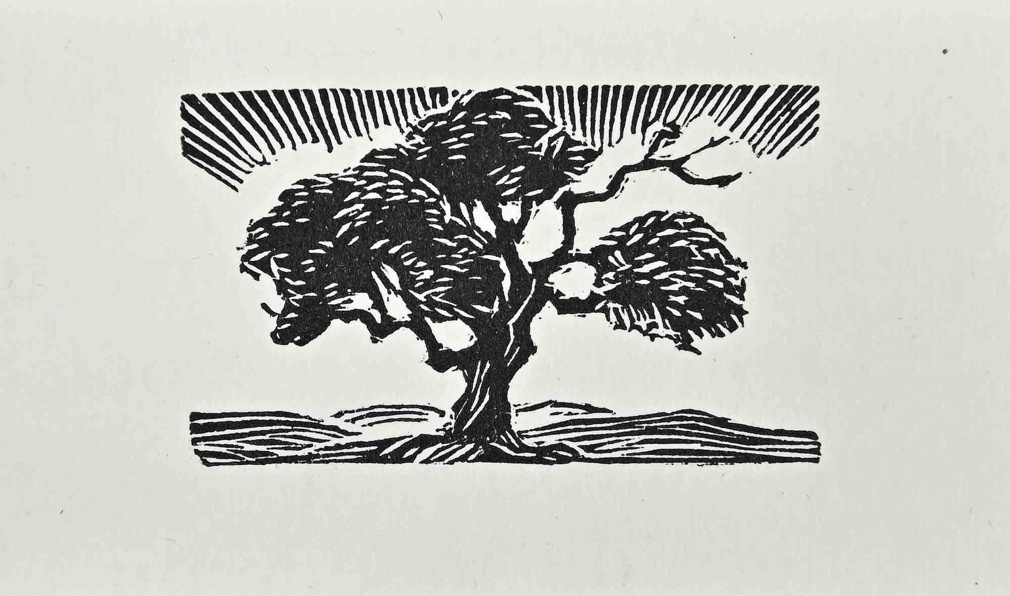Tree - Woodcut - Early 20th Century