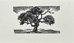Antique Tree - Woodcut - Early 20th Century