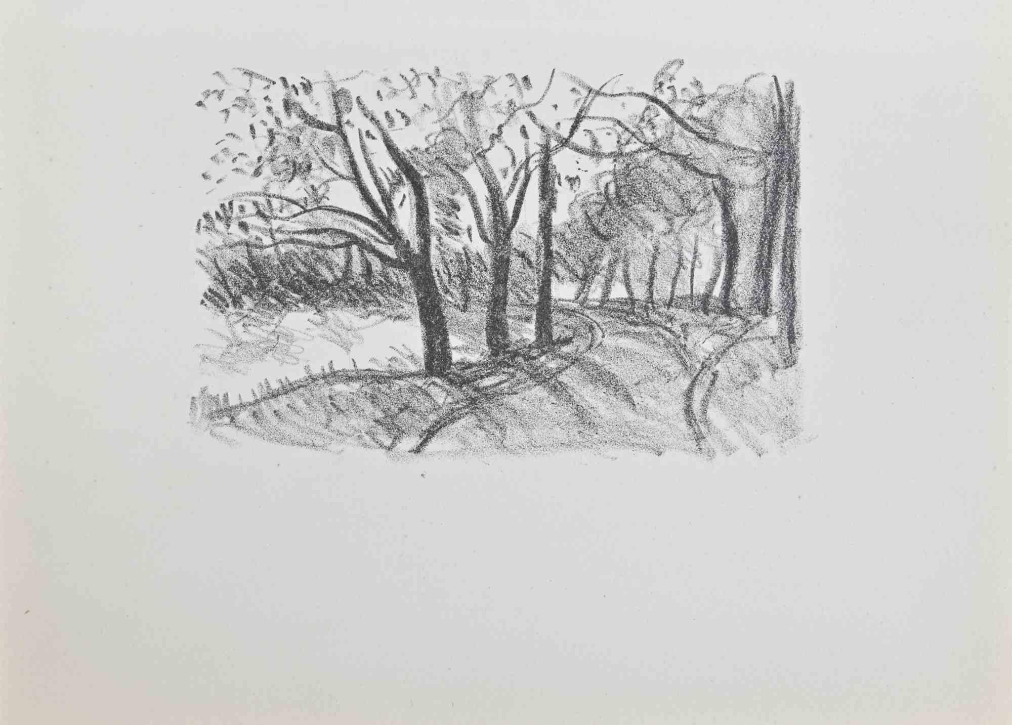 Unknown Landscape Print - Trees - Etching - 20th Century