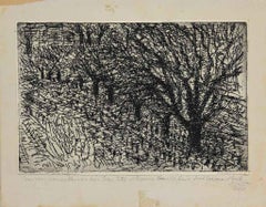 Trees - Original Etching on Paper - Early 20th Century