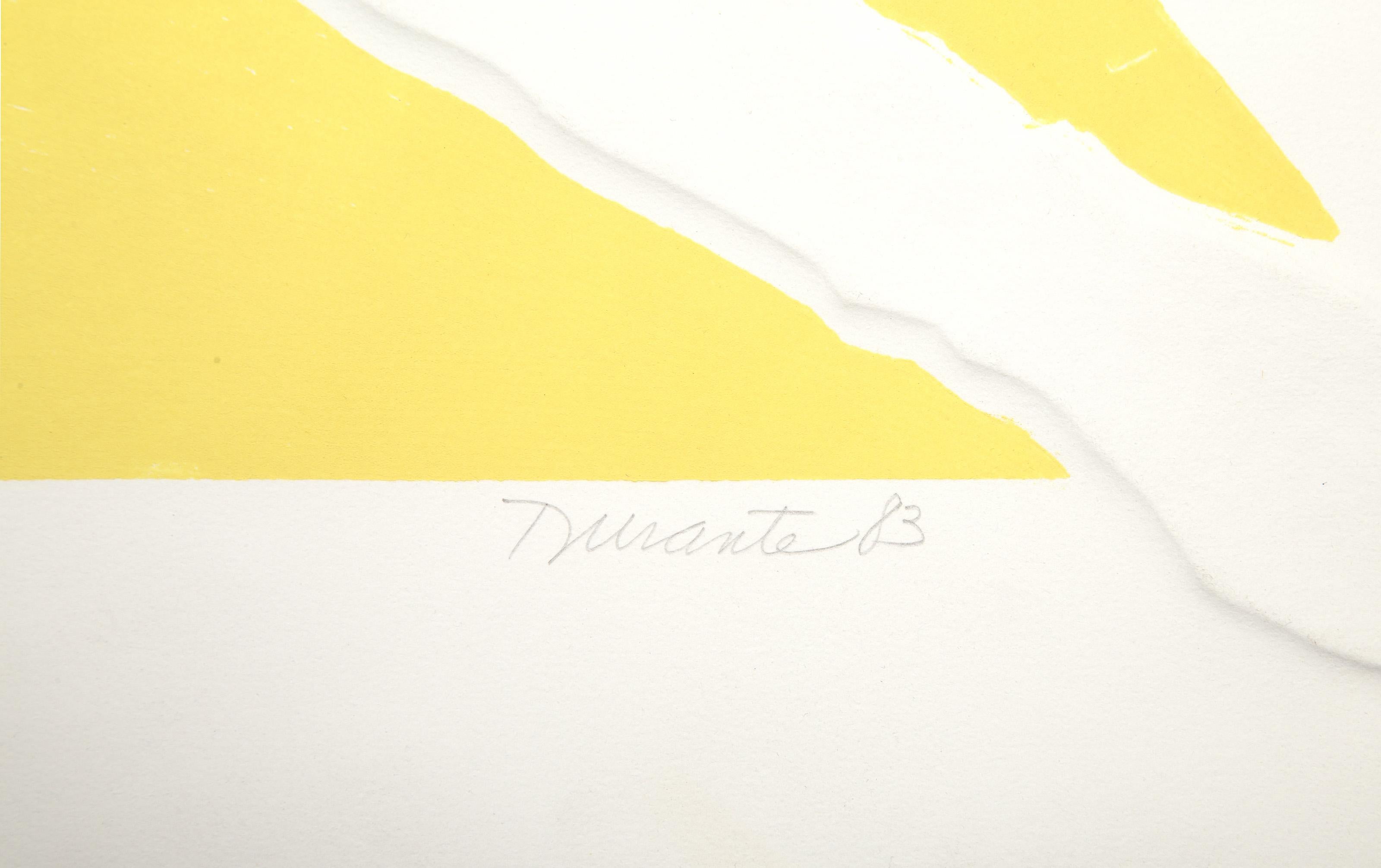 Triangle, gravure en taille-douce avec aquatinte de Joe Durante en vente 3