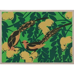 Tropical Birds No. 2, acrylic box, framed