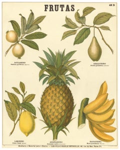 Tropical Fruit Poster