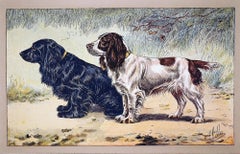 Two Gordon Setters