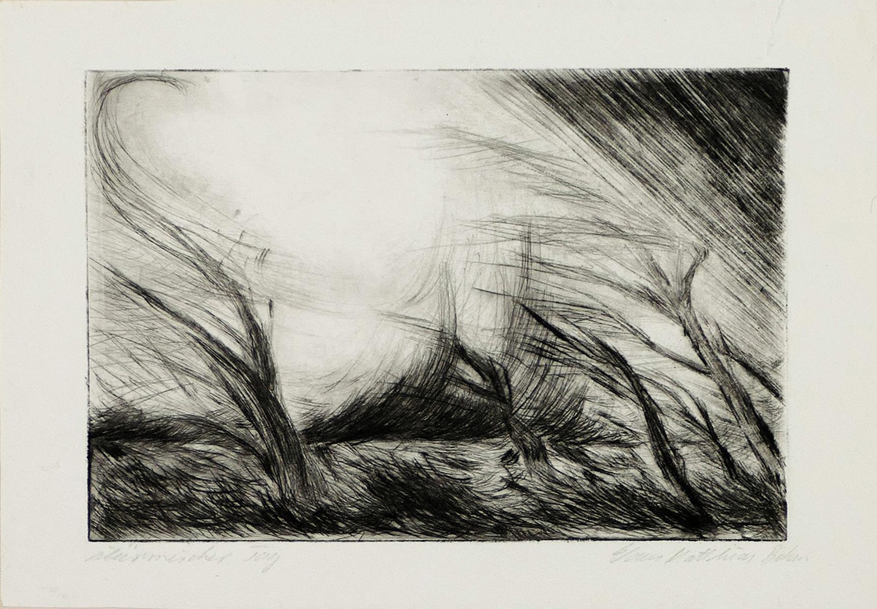 Two Lake Landscapes - Original Etching and Drypoint - 1970s - Print by Unknown