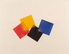 1970s Bright Abstract Print Gerahmt in OAK von Stephen Buckley