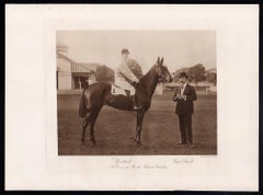 Upstart, racehorse, horse racing sepia photogravure, 1906