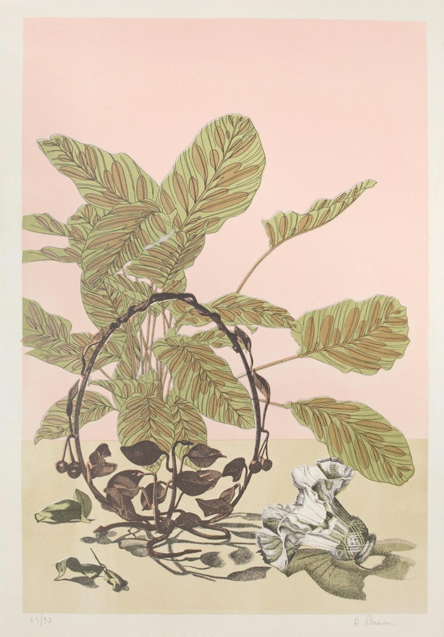 Unknown Figurative Print - Vegetation - Original Lithograph - 1980s