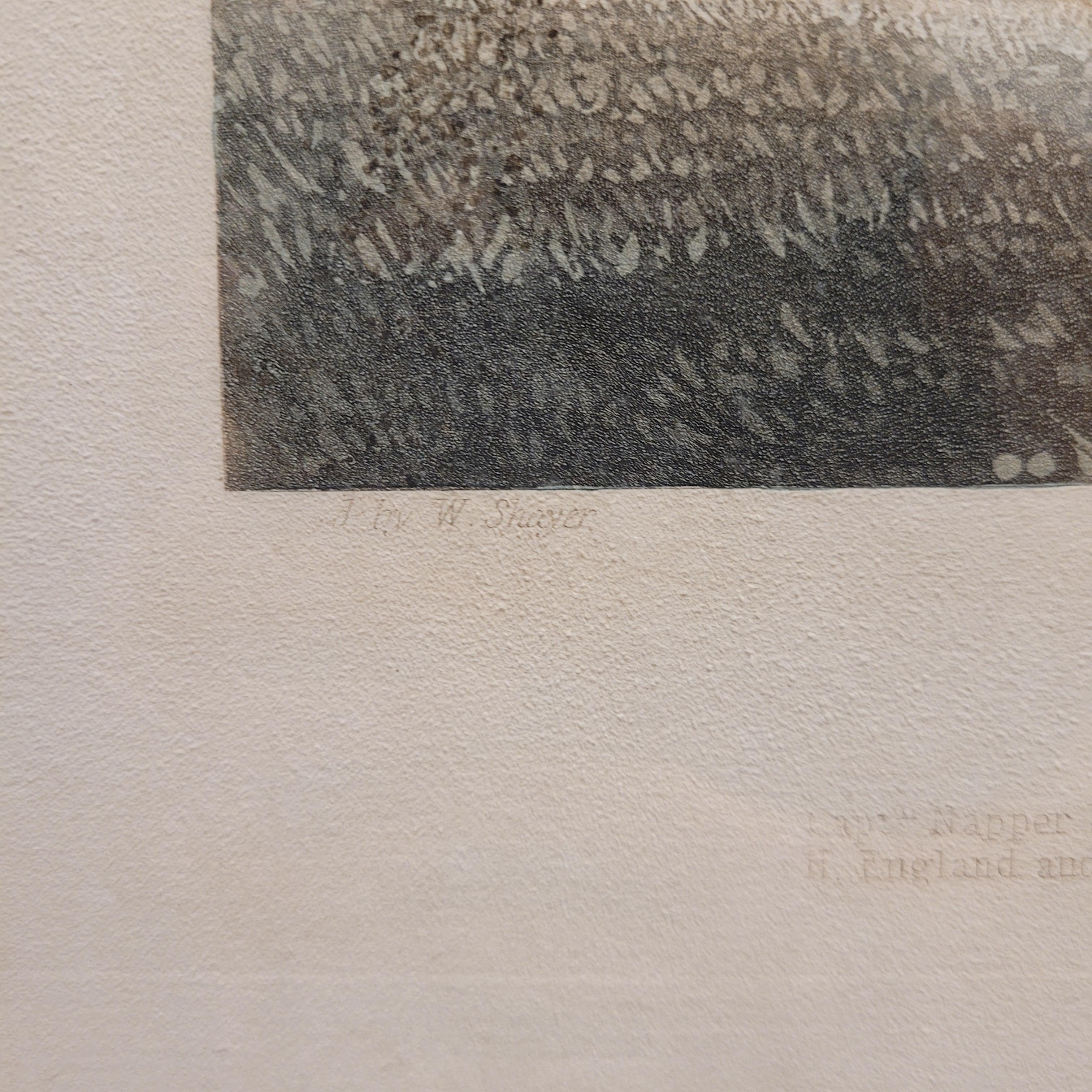 Aquarelle anglaise victorienne sur papier Charming Horses Polly J.R. Mackerel en vente 9