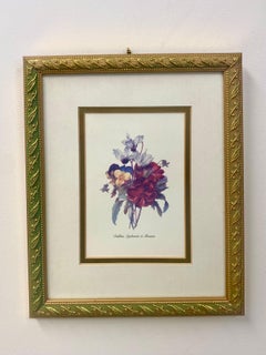 Vintage Flowers Botanicals, Matted and Framed  Set of 4