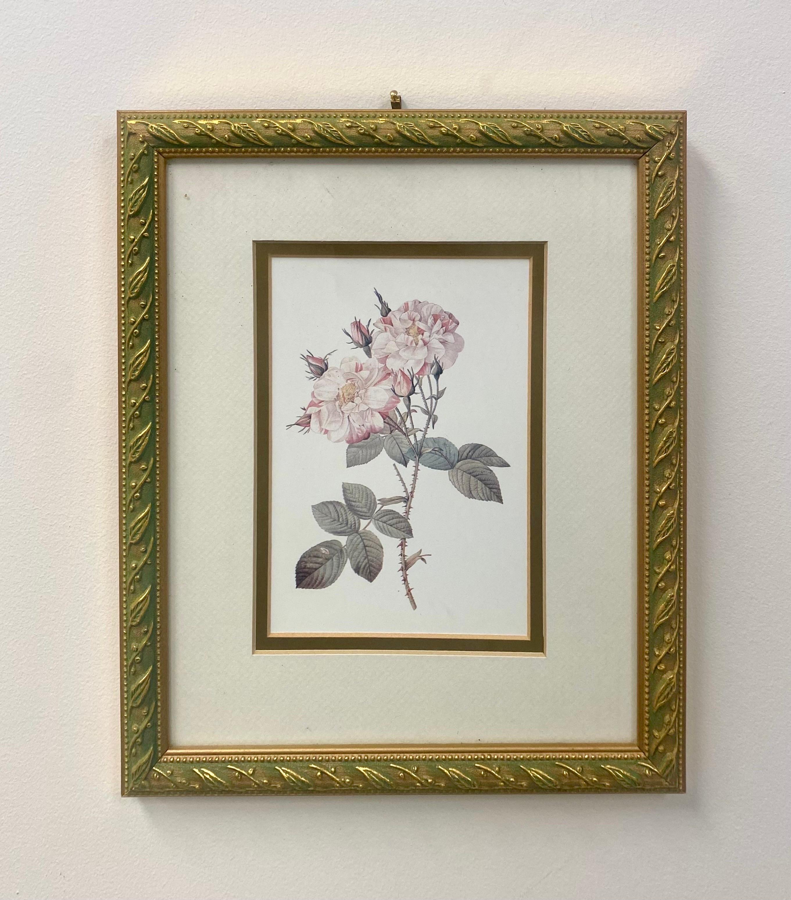 Vintage Flowers Botanicals, Matted and Framed  Set of 4 - Impressionist Print by Unknown