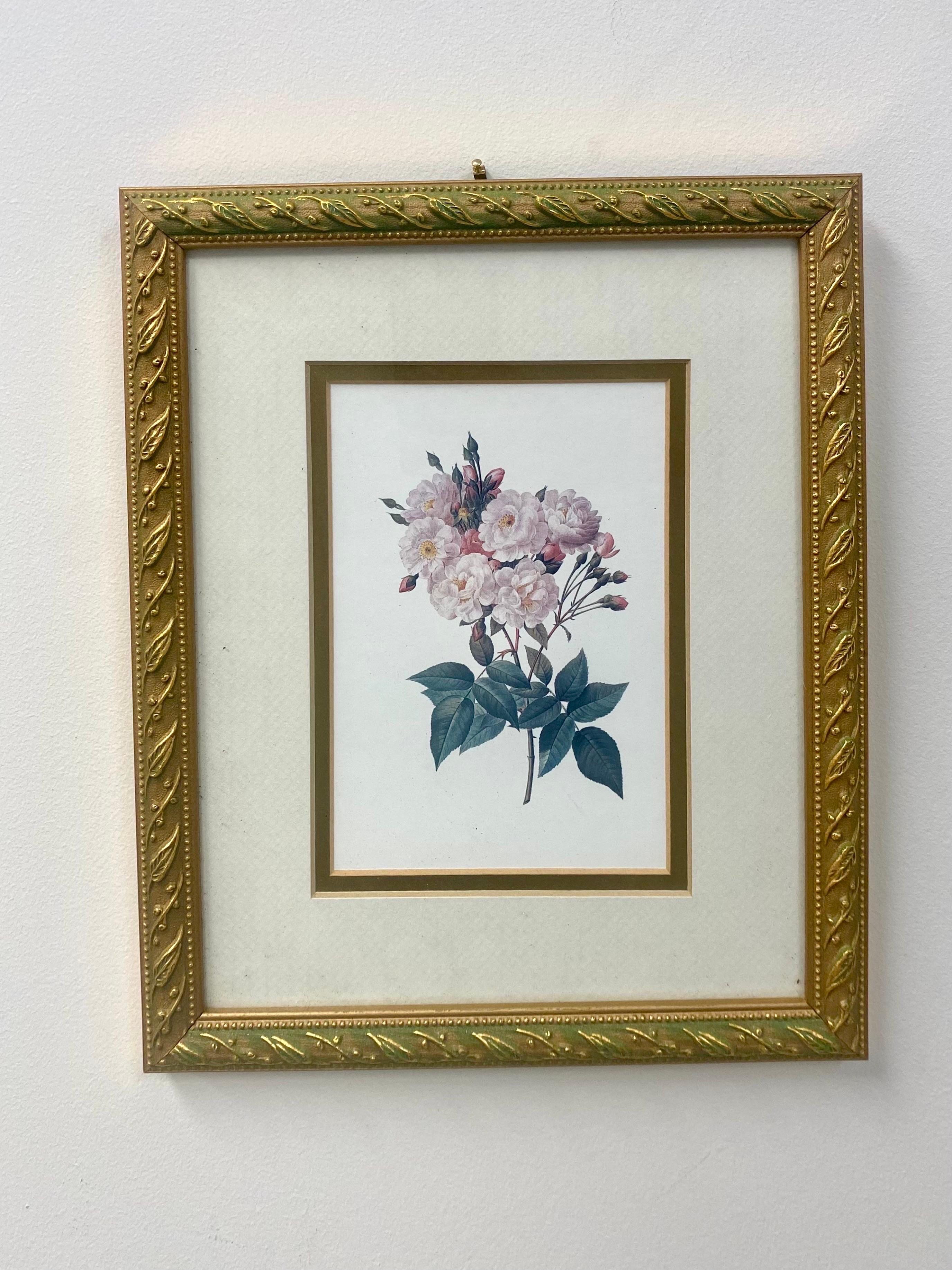 Vintage Flowers Botanicals, Matted and Framed  Set of 4 - Beige Print by Unknown