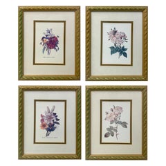 Retro Flowers Botanicals, Matted and Framed  Set of 4