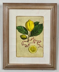 Vintage Framed Botanical Lemon Hand-Colored Citrus Engravings Print, a Pair