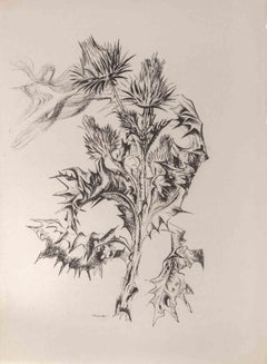 Vintage Greetings Card - Photolithograph - 1953