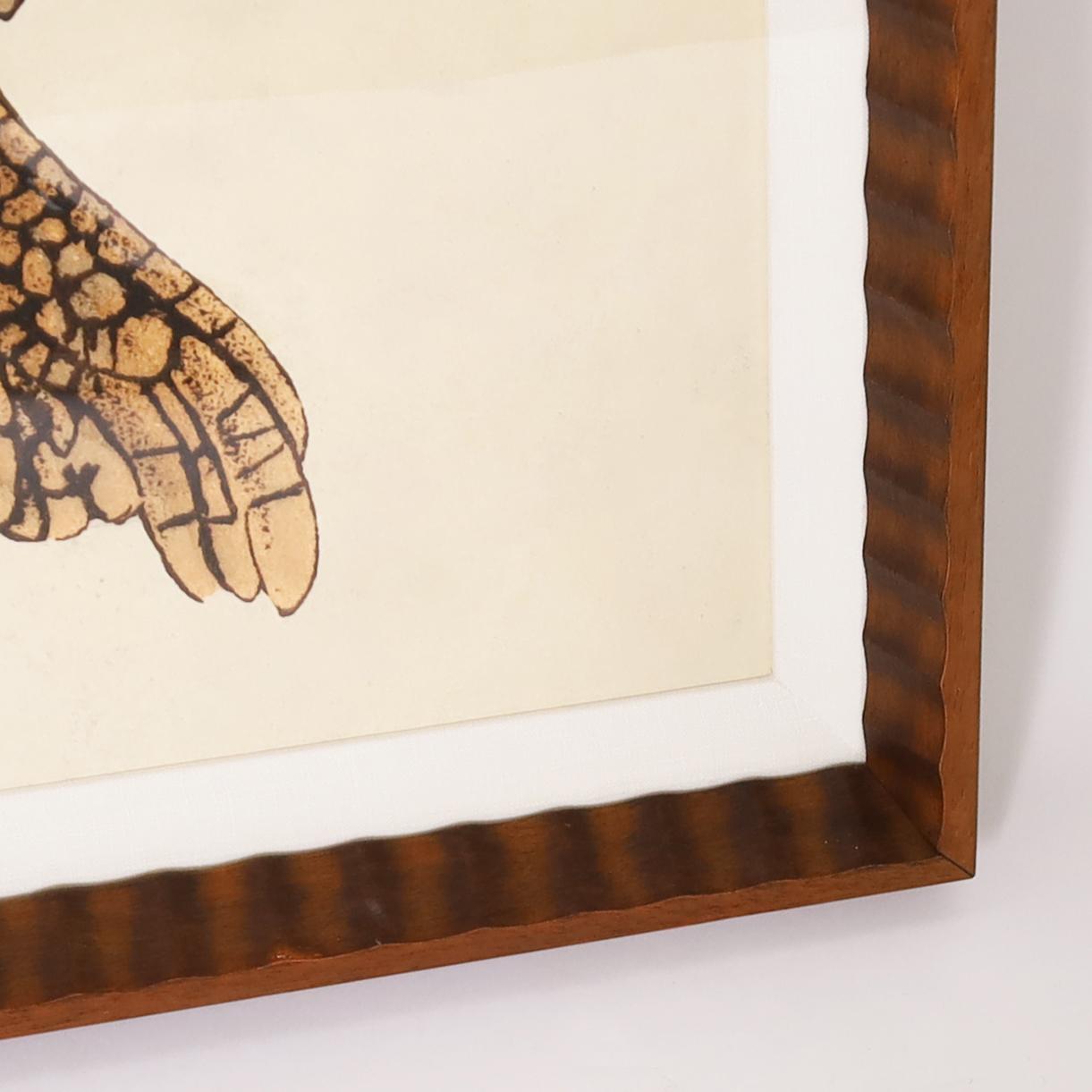 Vintage Large Framed Turtle Print 5