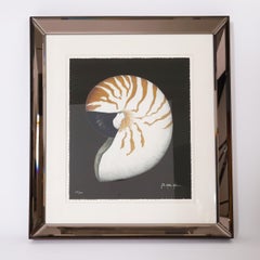 Litografía Vintage Nautilus o Concha Marina en Marco de Espejo
