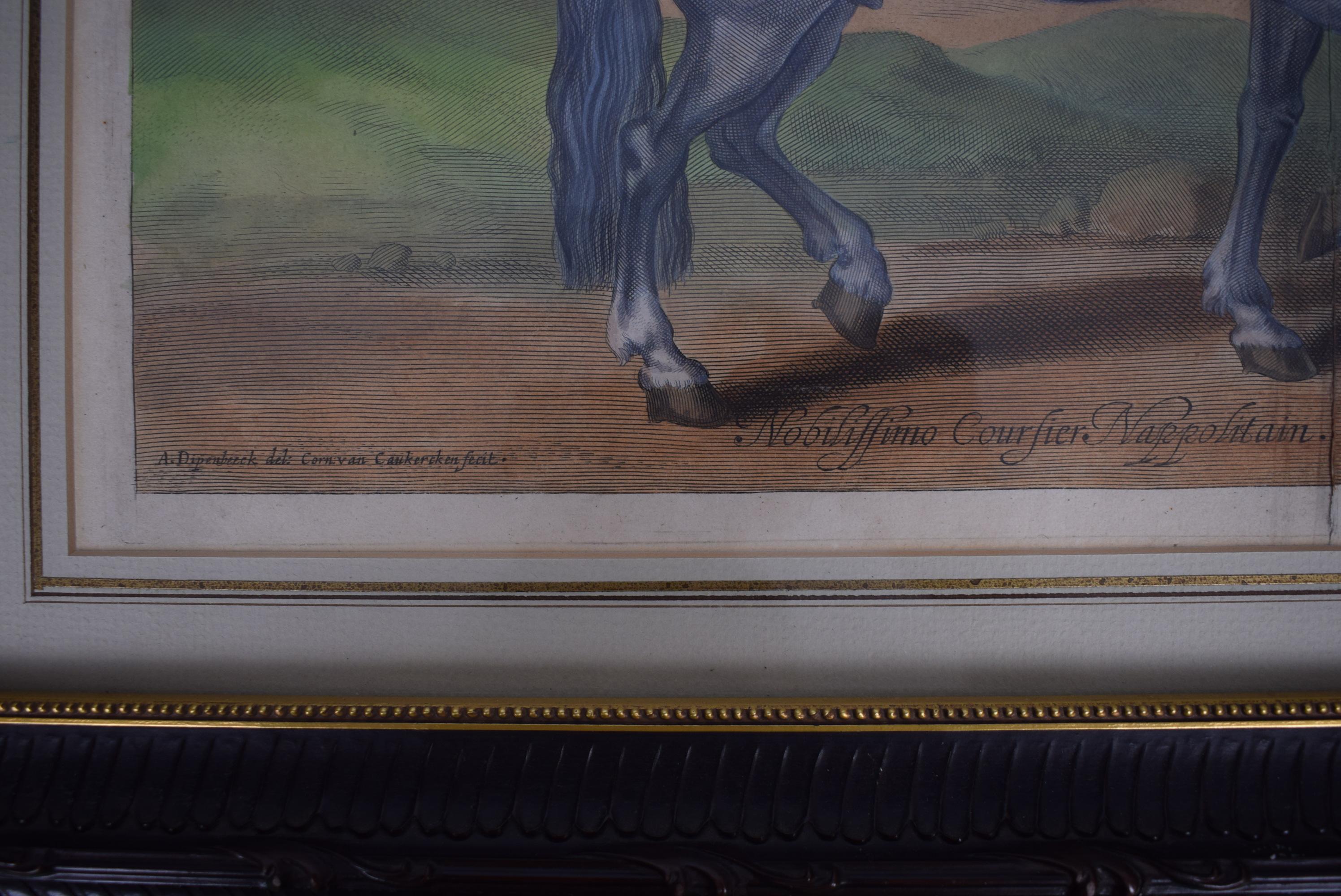 Welbeck. Nobilissimo Coursier Nappolitain. Fol. 9 from the book 'Methode et Inve For Sale 1
