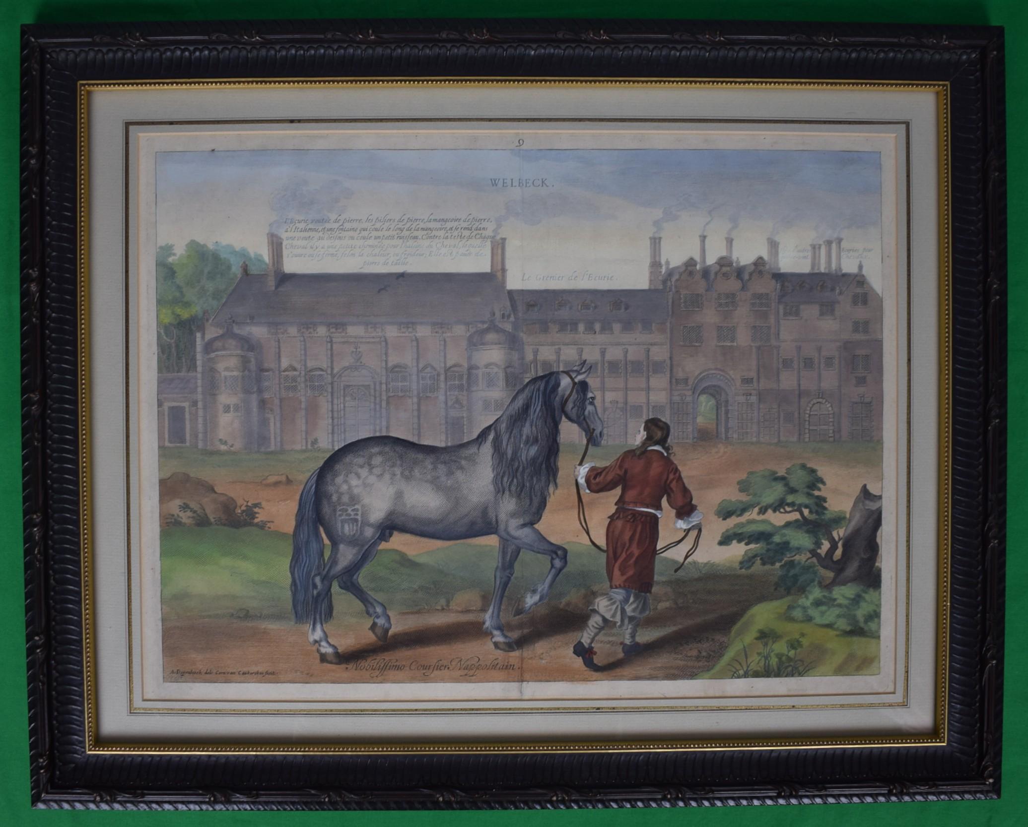 Welbeck. Nobilissimo Coursier Nappolitain. Fol. 9 from the book 'Methode et Inve