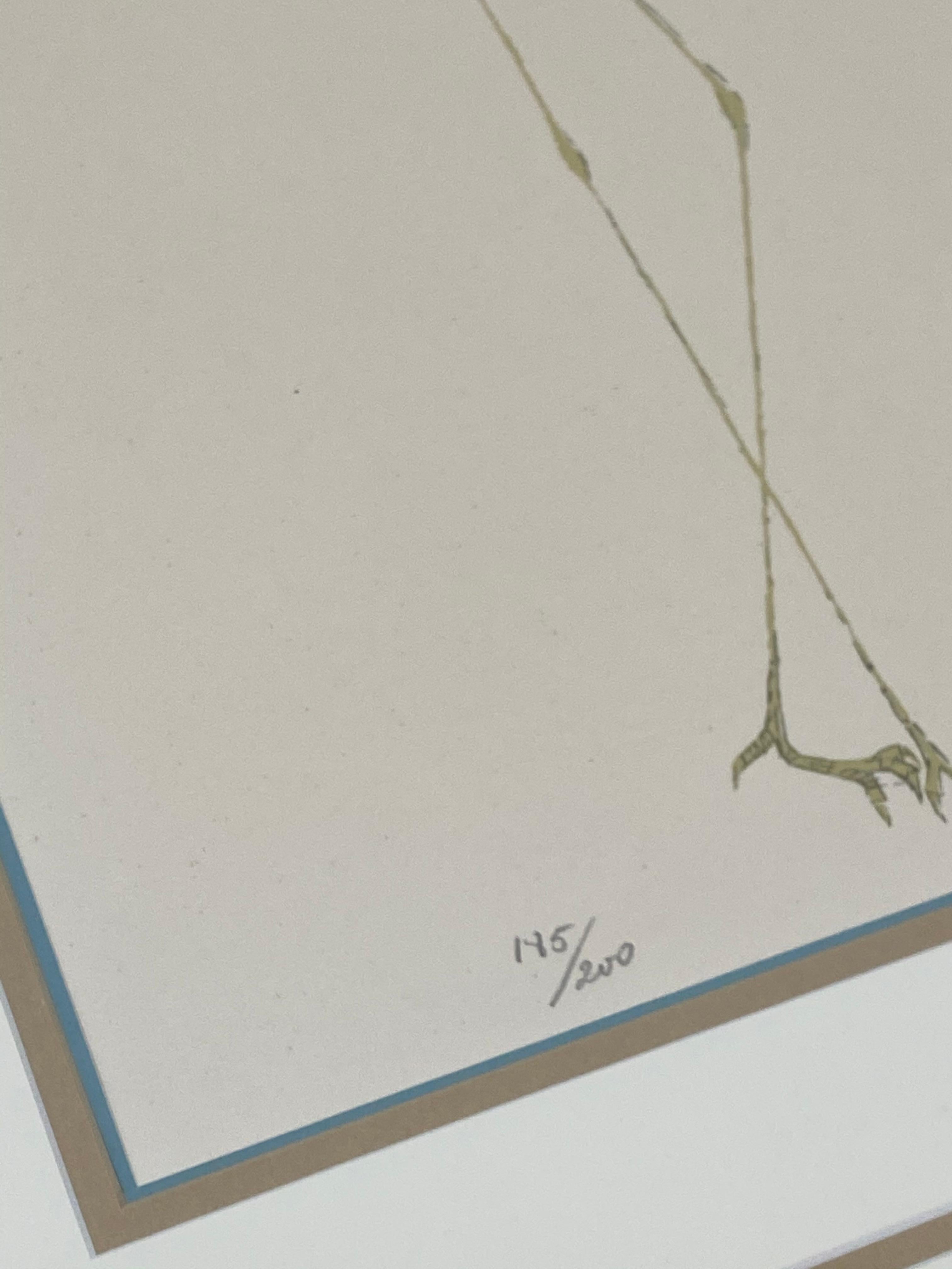 Uccello stravagante con piume arancioni 