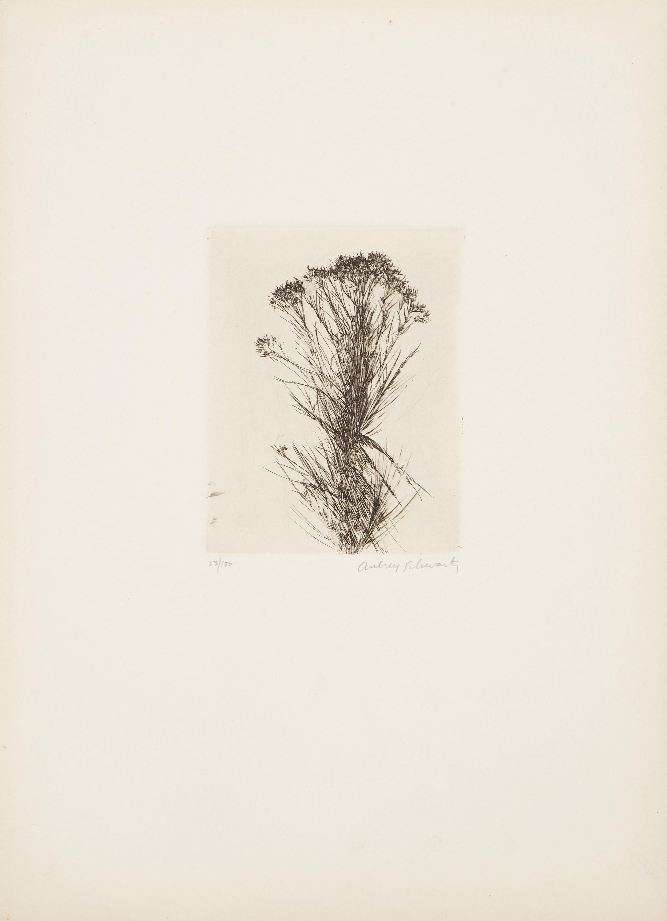 Flores silvestres III, grabado moderno de Aubrey Schwartz en venta 1