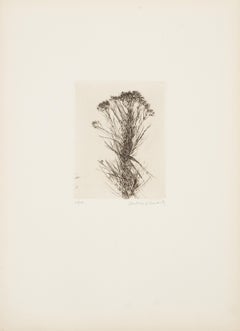 Wild Flowers III, Modern Etching by Aubrey Schwartz