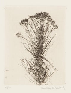 Flores silvestres III, grabado moderno de Aubrey Schwartz