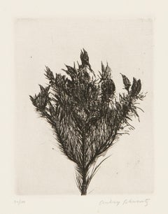 Flores silvestres IV, grabado moderno de Aubrey Schwartz