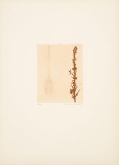 Wild Flowers IX, Modern Etching by Aubrey Schwartz