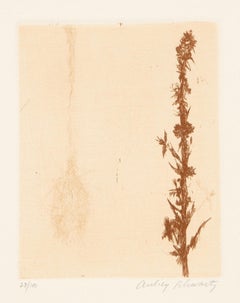 Flores silvestres IX, grabado moderno de Aubrey Schwartz