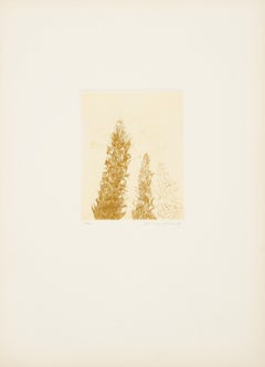 Wild Flowers V, Modern Etching by Aubrey Schwartz