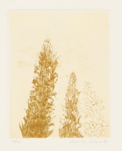 Flores silvestres V, grabado moderno de Aubrey Schwartz