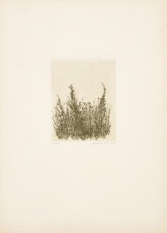 Wild Flowers VI, Modern Etching by Aubrey Schwartz
